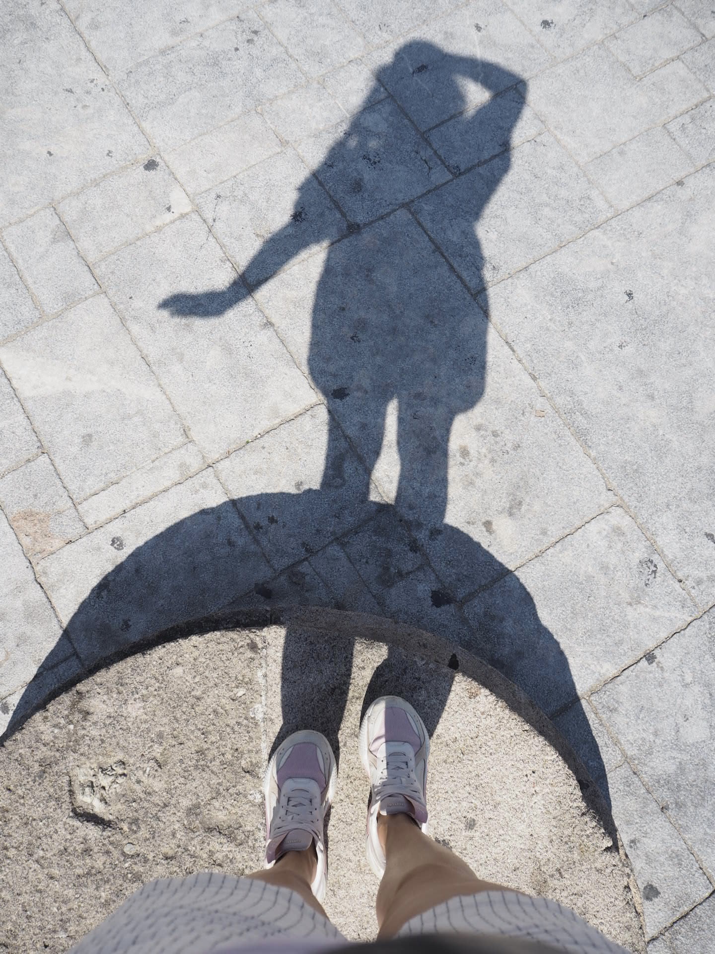 Blauwdruk van Dana Steep als online marketeer en business coach